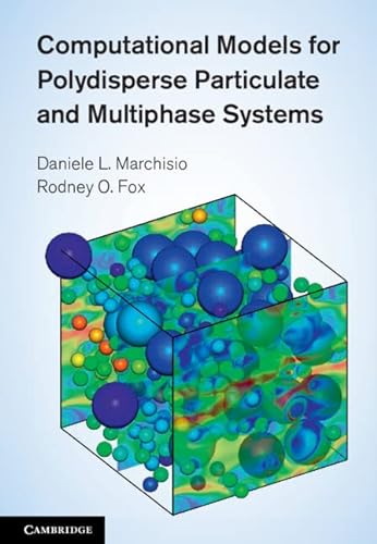 Computational Models for Polydisperse Particulate and Multiphase Systems (Cambridge Series in Chemical Engineering)